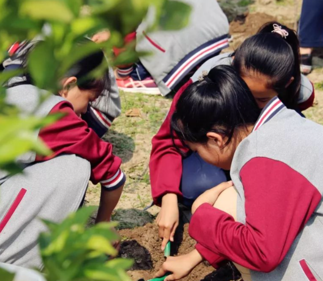 课后作业到学业评价全面分层让每一位学生都能适配自身学习节奏 课后作业到学业评价全面分层让每一位学生都能适配自身学习节奏